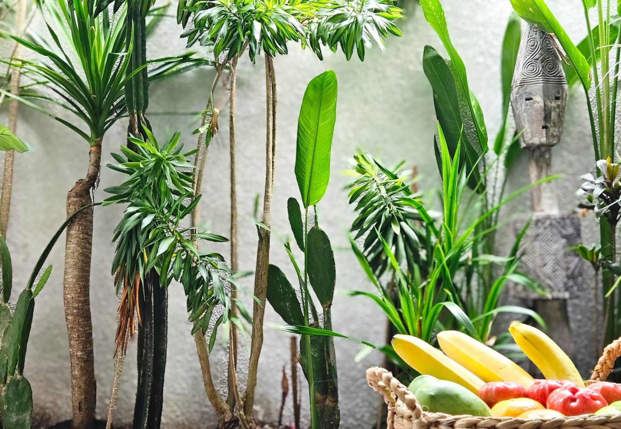 Aparthotel Lila Concept Ubud